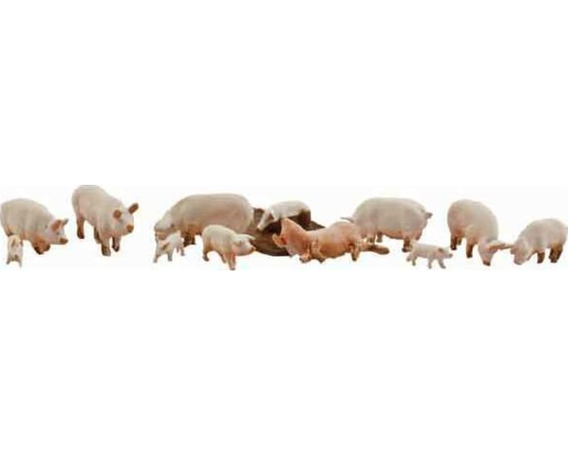 HO Yorkshire Pigs photo