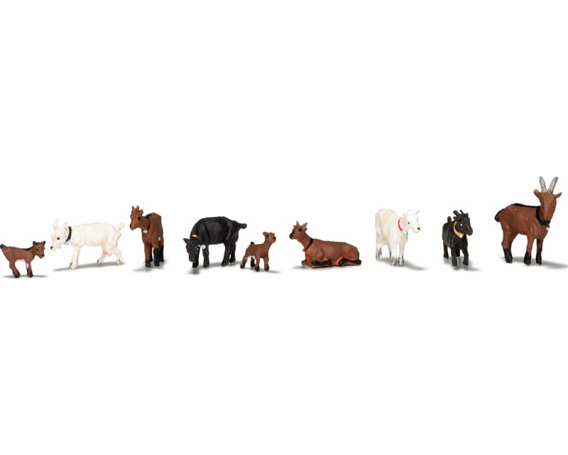 HO Goats photo