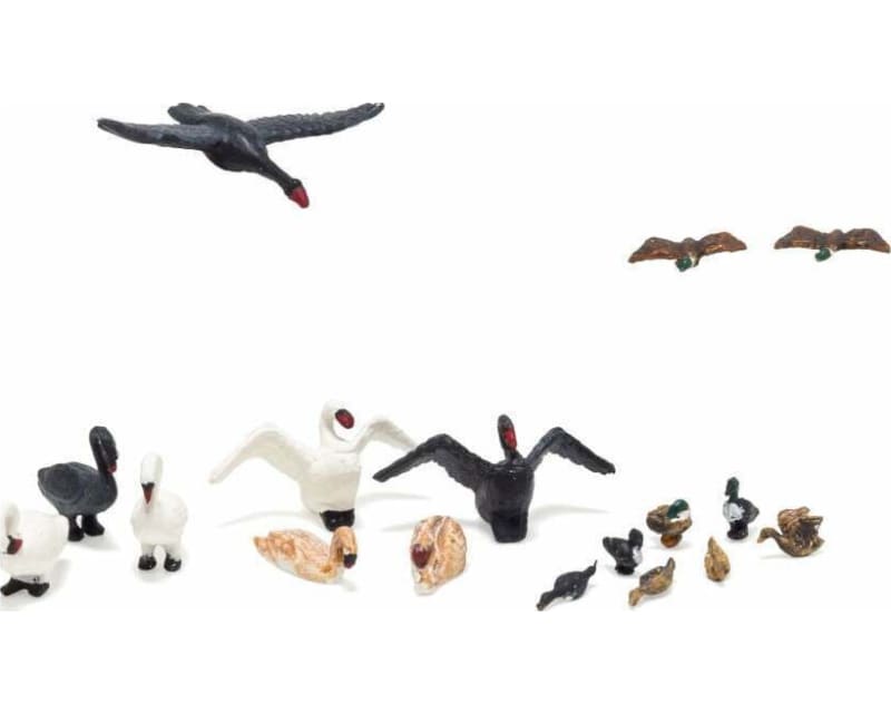 HO Ducks and Swans