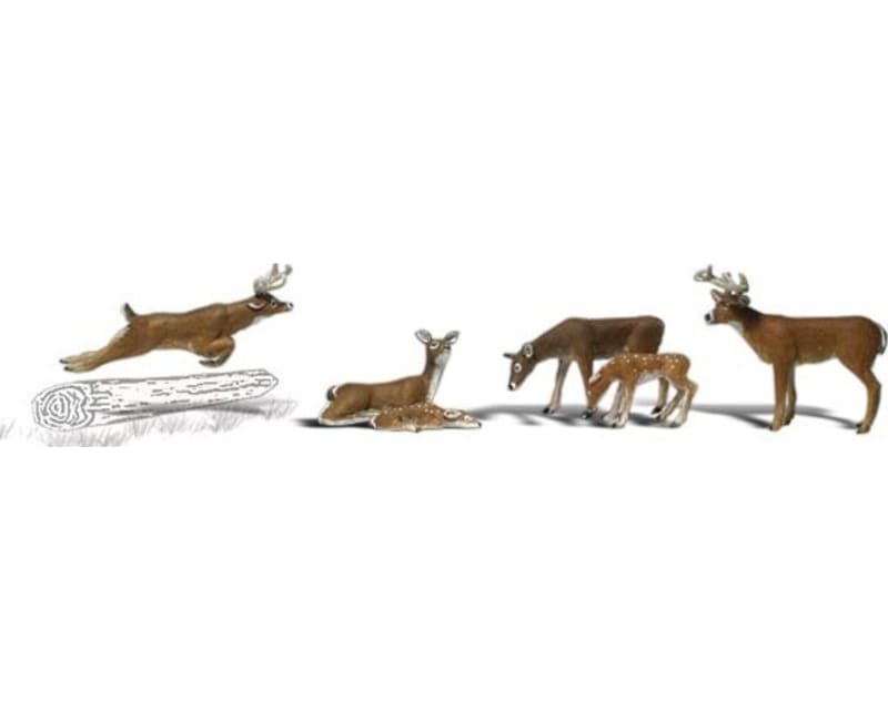 Tap to zoom N Deer