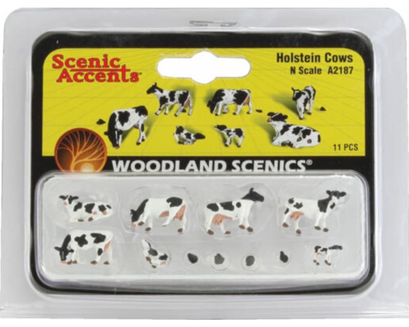 Tap to zoom N Holstein Cows