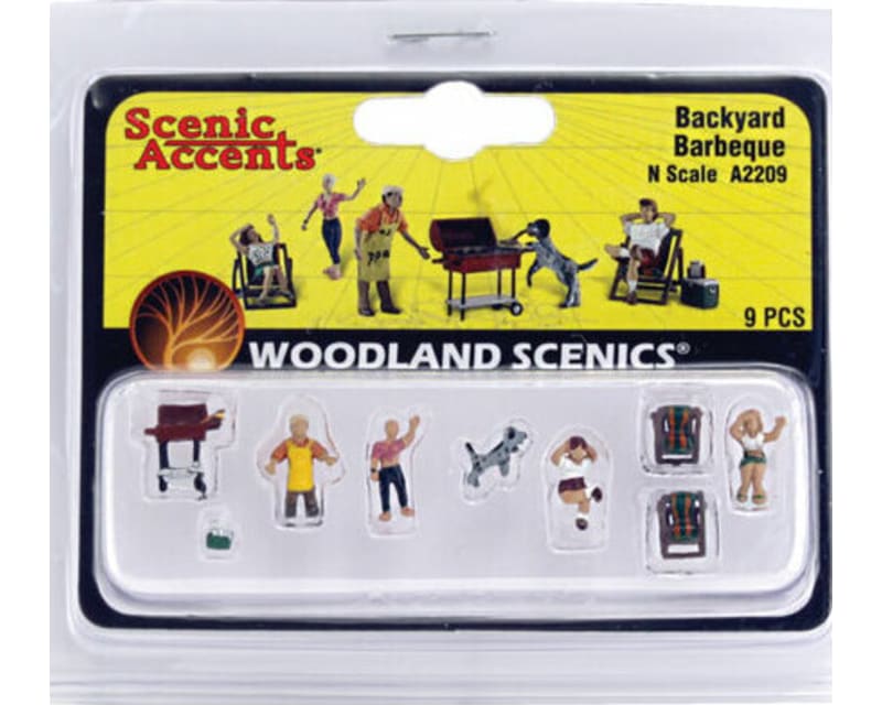 Tap to zoom N Backyard Barbeque
