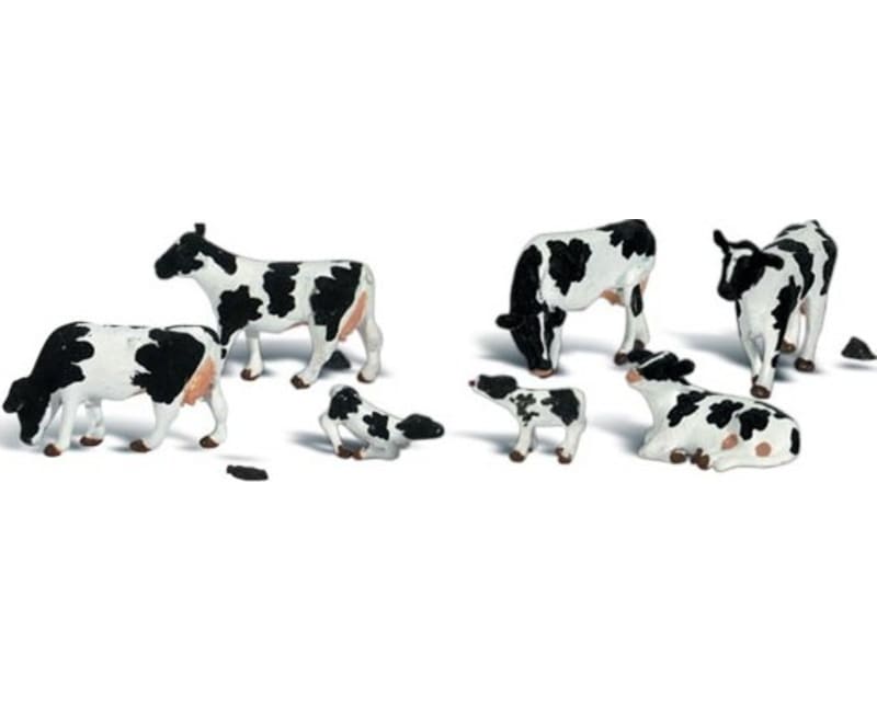 O Holstein Cows