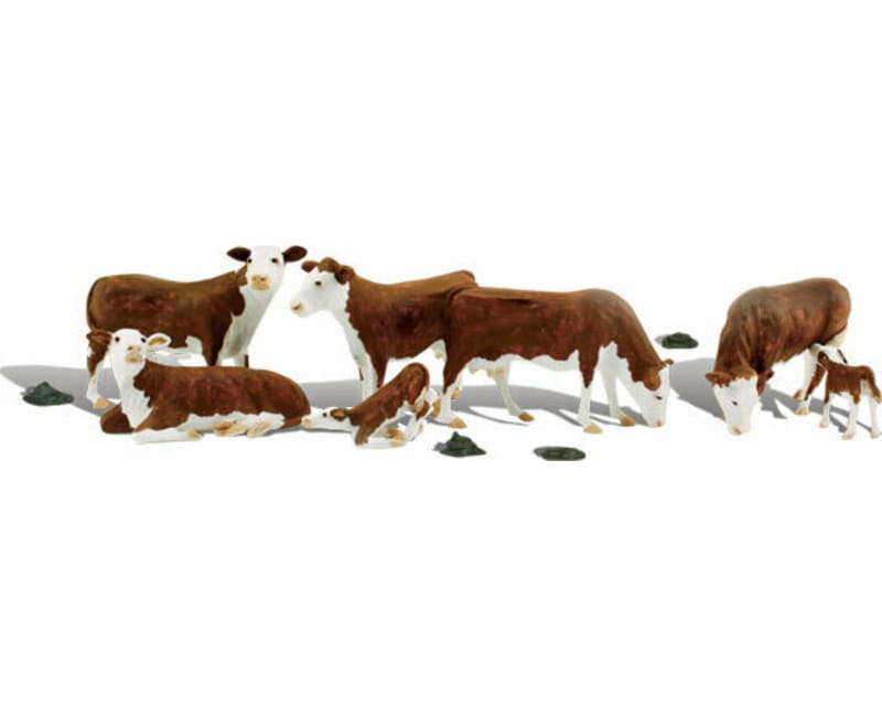 O HereF0RD Cows photo