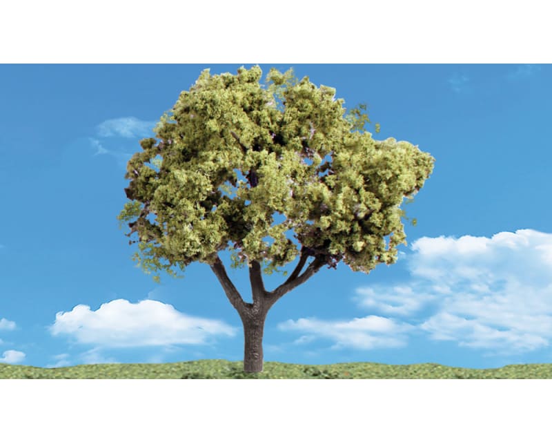 Classics Tree Early Light 5-6 2