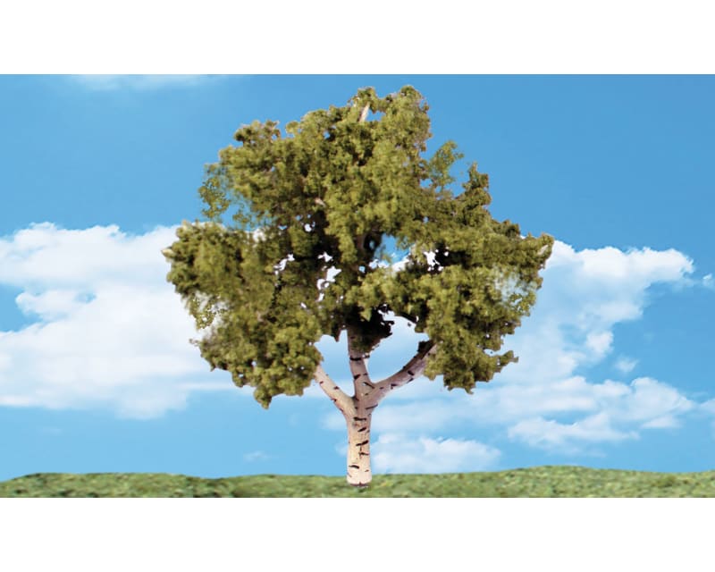 Classics Tree Waters Edge 3-4 3