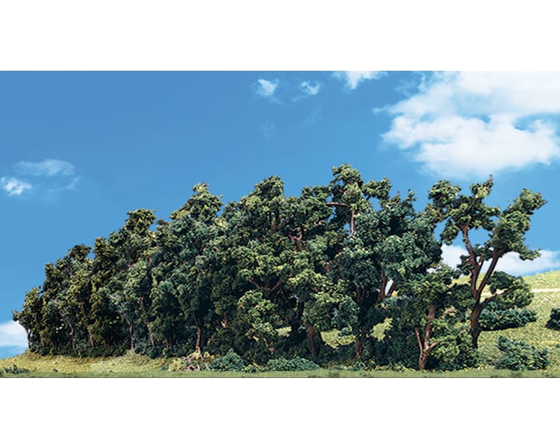 Classics Tree Hedge Row 1-2 1