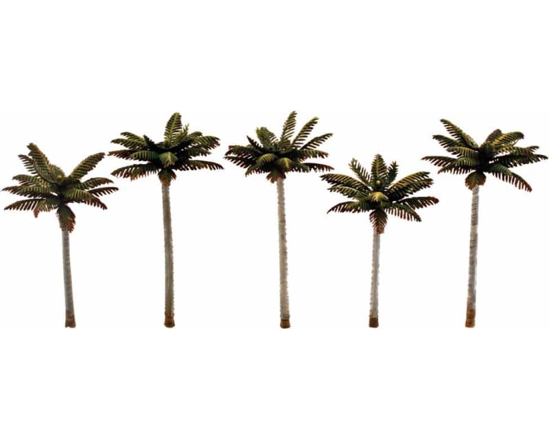 Classics Tree Palm 3-3.75 5