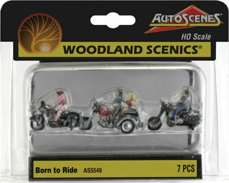 HO Born to Ride photo