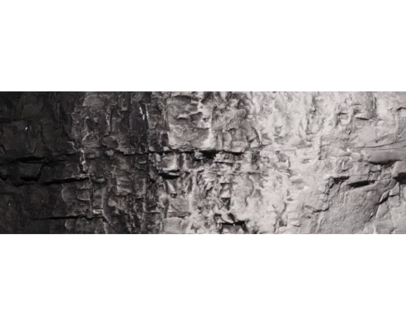 Woodland Scenics Earth Color Black 4oz