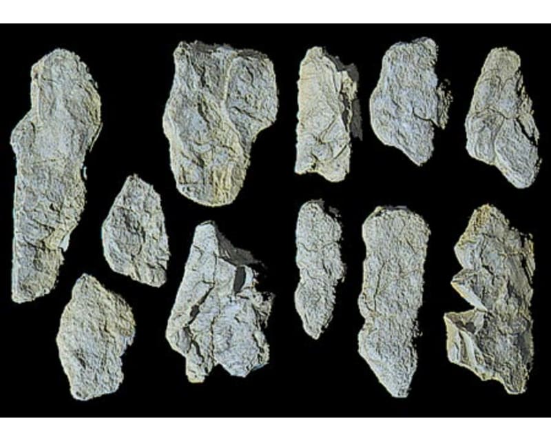 Rock form Surface Rocks