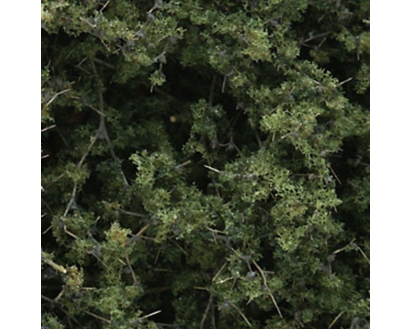 Fine Leaf Foliage Medium Green/75 cu. in.