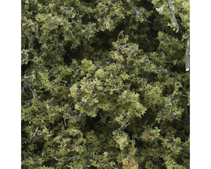 Fine Leaf Foliage Light Green/75 Cu. In.