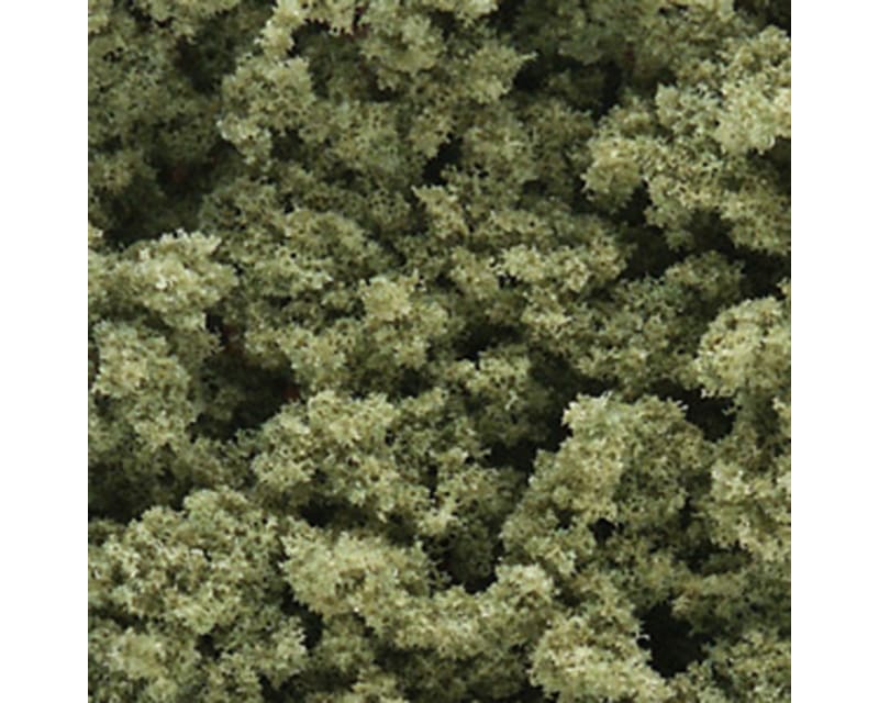 Bushes Clump Foliage Olive Grn