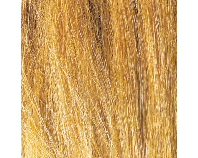 Field Grass Harvest Gold .28 oz