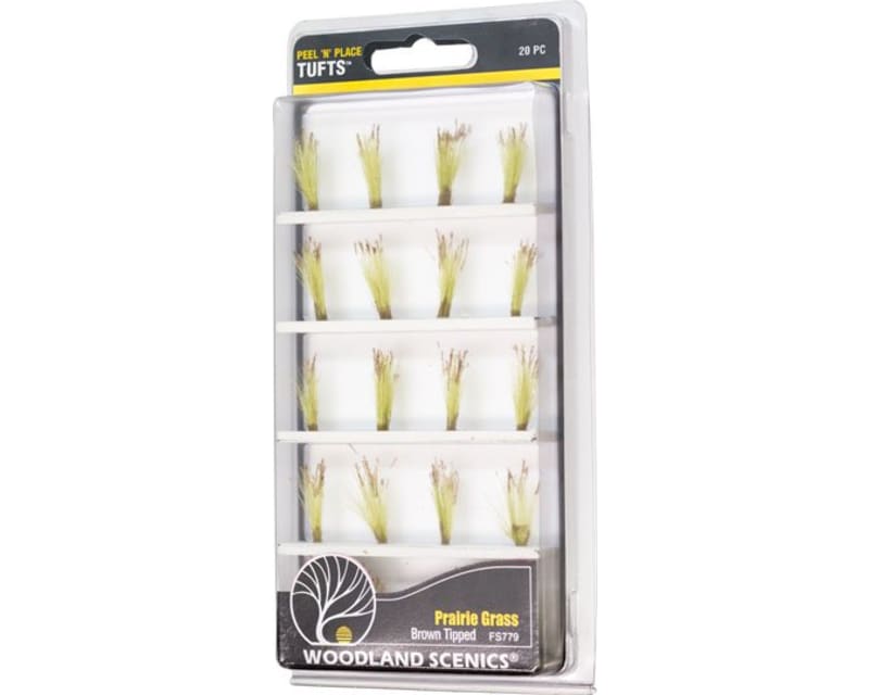 Brown Tipped Prairie Grass