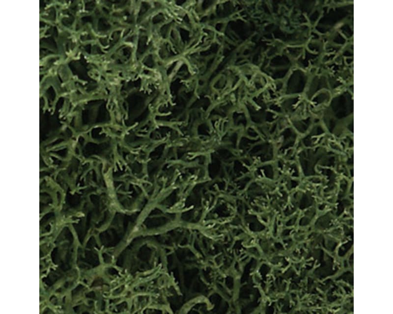 Tap to zoom Lichen Bag Medium Green/82 cu. in.
