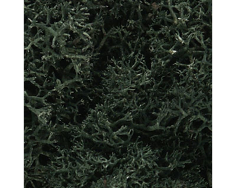 Tap to zoom Lichen Bag Dark Green/82 cu. in.
