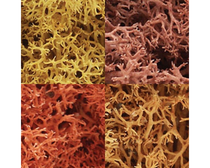 Lichen Bag Autumn Mix/82 Cu. In.