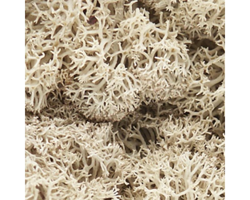 Lichen Bag Natural/82 cu. in.
