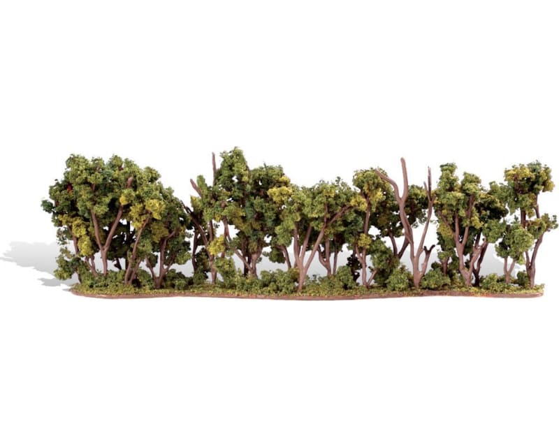 Tap to zoom Classics Tree Hedge Row 1-4 1