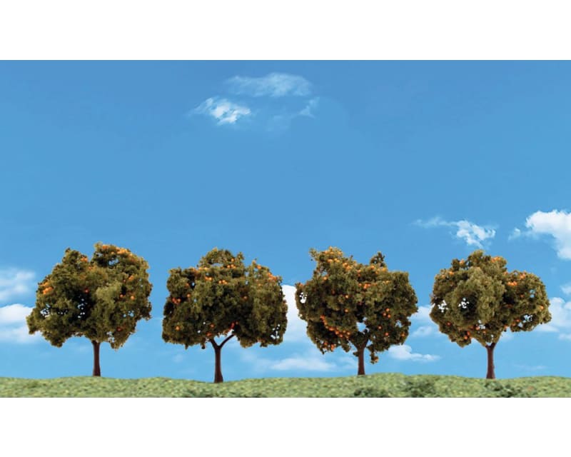 Classics Tree Orange 2-3 (4