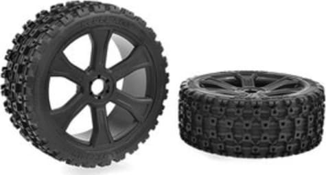 Corally COR00180-856
