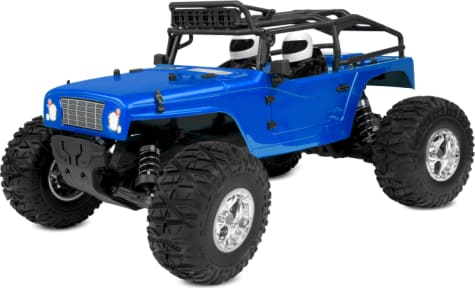 Corally COR00256