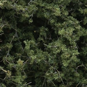 Woodland Scenics WOOF1131