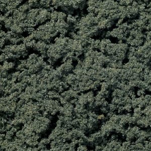 Woodland Scenics WOOFC684