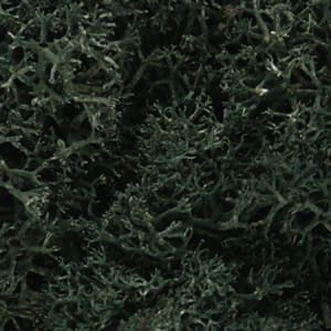 Woodland Scenics WOOL164