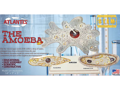 AANL3800 Amoeba Single Cell Model Kit Stem Plastic Model Kit