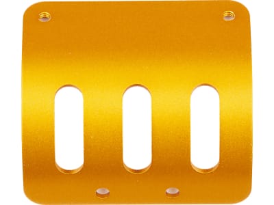 ASC6322 RC10 Motor Guard Gold