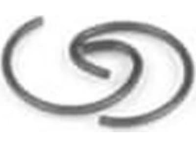 TKR1726 Piston Pin Retainers 21aM / aP / bM