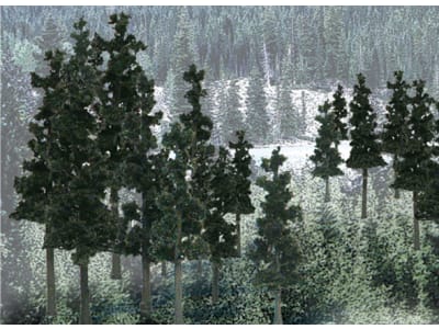 WOOTR1581 Value Trees Conifer 4-6 24