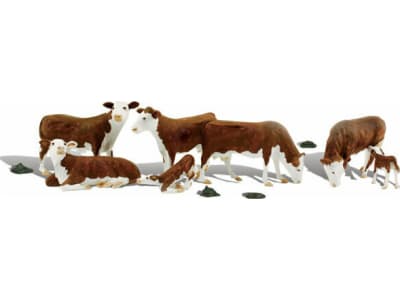 WOOA1843 HO HereF0RD Cows