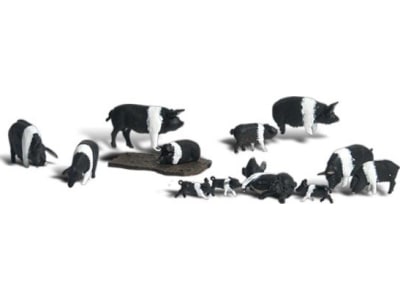 WOOA1864 HO Hampshire Pigs