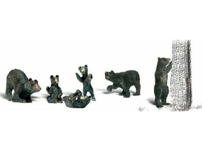 WOOA1885 Ho Black Bears