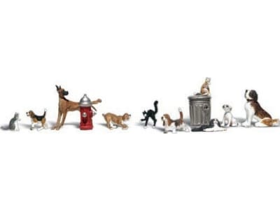 WOOA2140 N Dogs and Cats