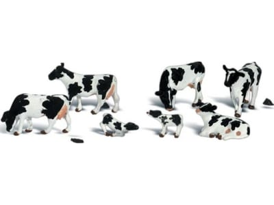 WOOA2724 O Holstein Cows