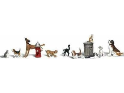 WOOA2725 O Dogs and Cats