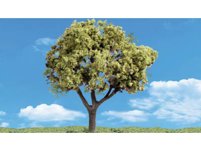 WOOTR3509 Classics Tree Early Light 4-5 3