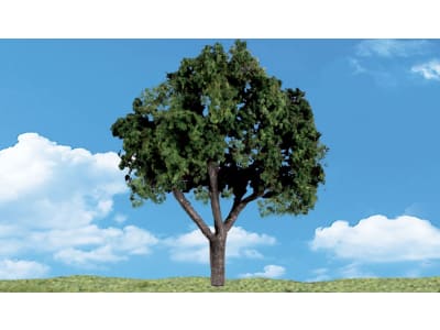 WOOTR3514 Classics Tree Cool Shade 5-6 2