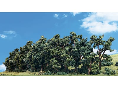 WOOTR3581 Classics Tree Hedge Row 1-2 1