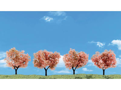 WOOTR3593 Classics Tree Flowering 2-3 4