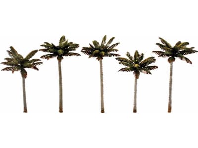 WOOTR3597 Classics Tree Palm 3-3.75 5