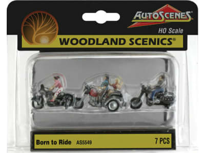 WOOAS5549 HO Born to Ride