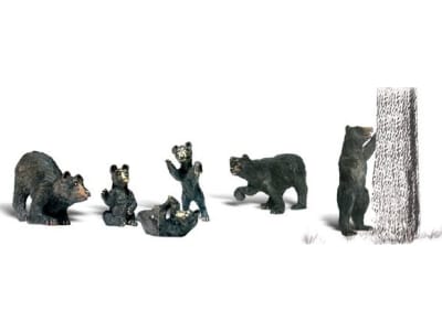 WOOA2737 O Black Bears