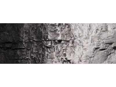 WOOC1220 Woodland Scenics Earth Color Black 4oz