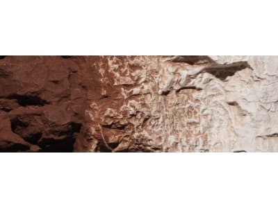 WOOC1222 Earth Color Burnt Umber 4oz